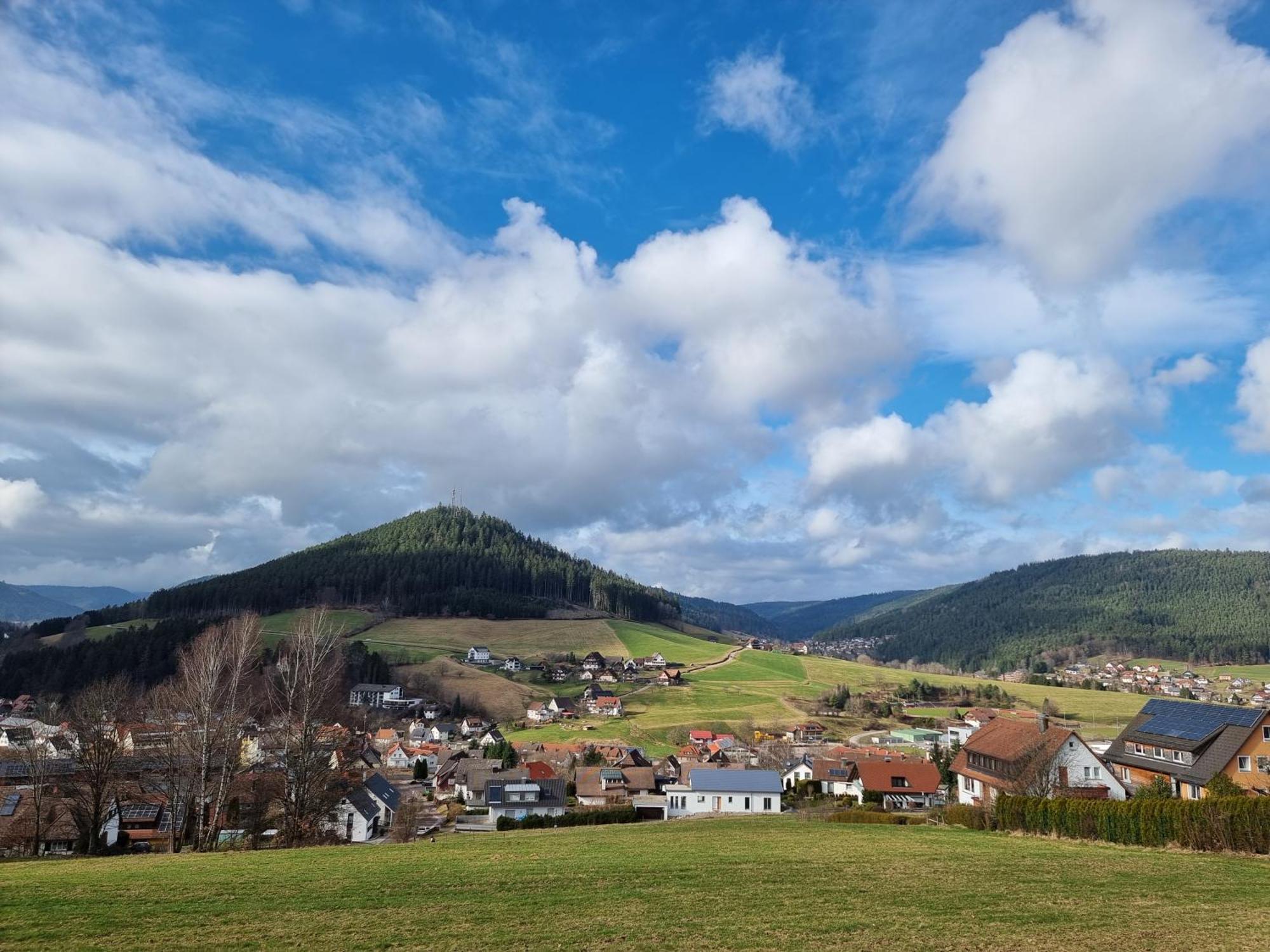 Fewo Mit Pool In Baiersbronn Kültér fotó