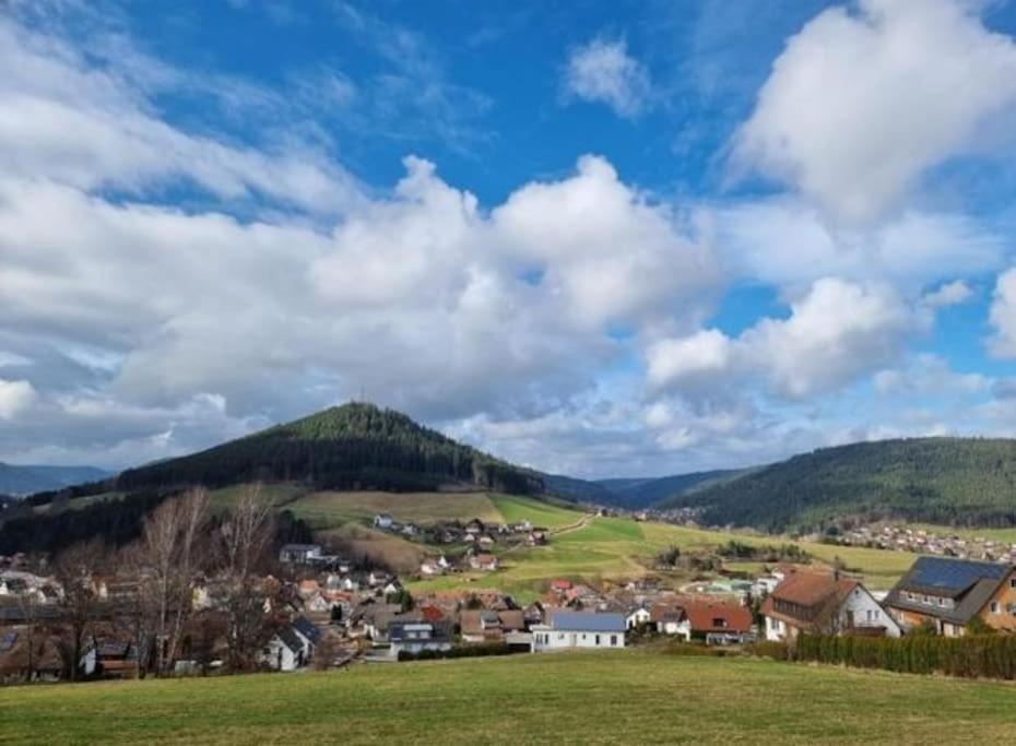 Fewo Mit Pool In Baiersbronn Kültér fotó