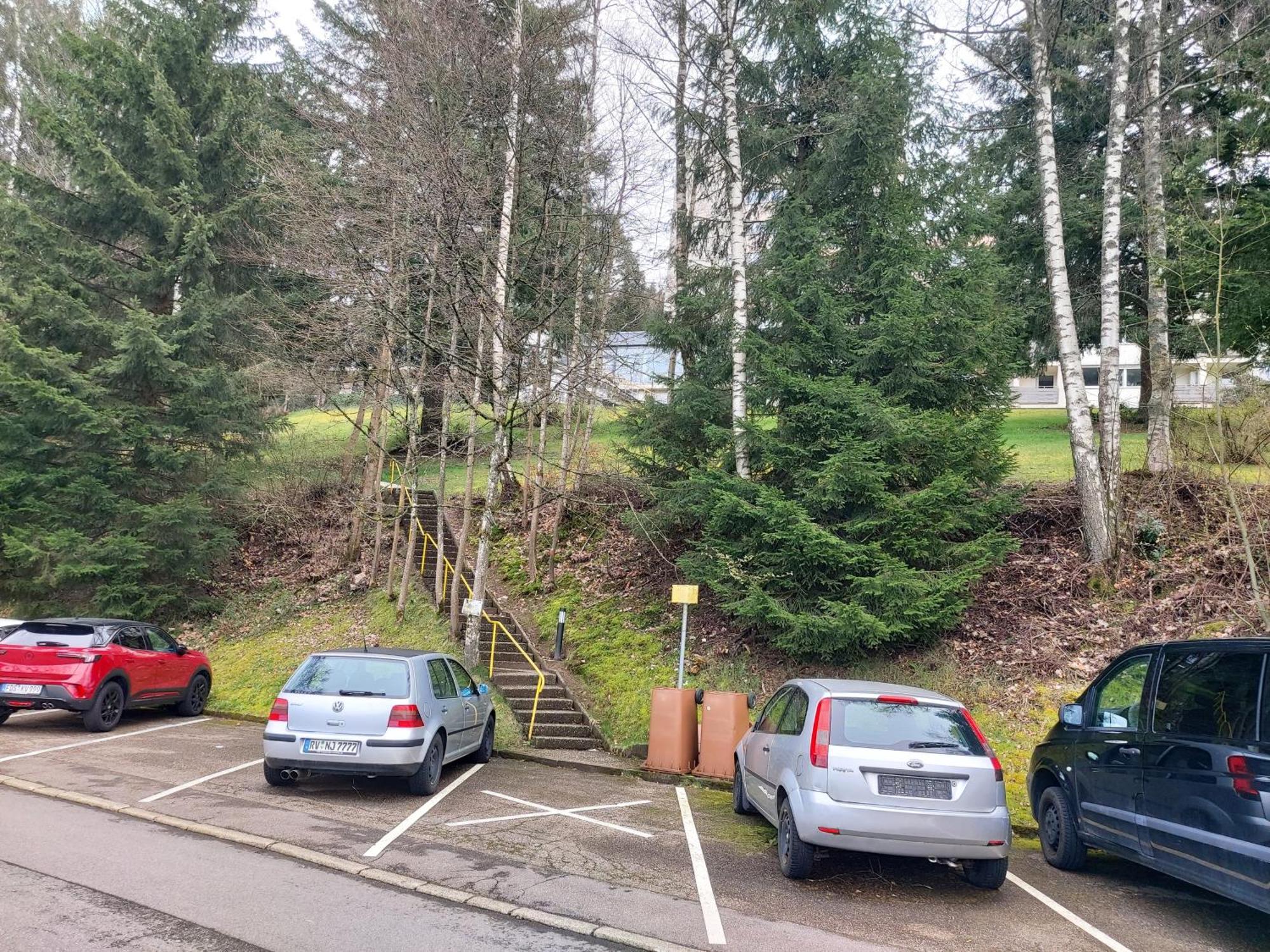 Fewo Mit Pool In Baiersbronn Kültér fotó