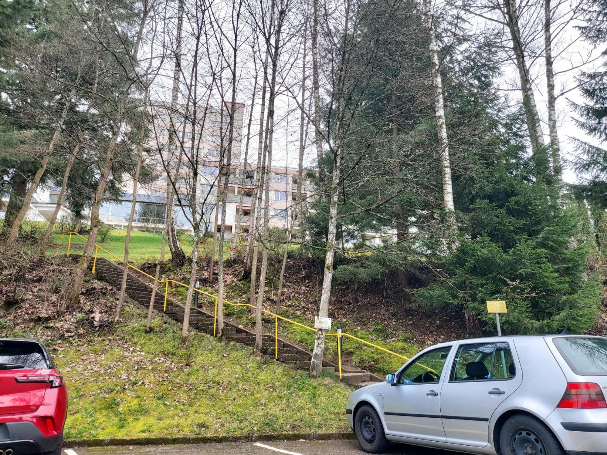 Fewo Mit Pool In Baiersbronn Kültér fotó